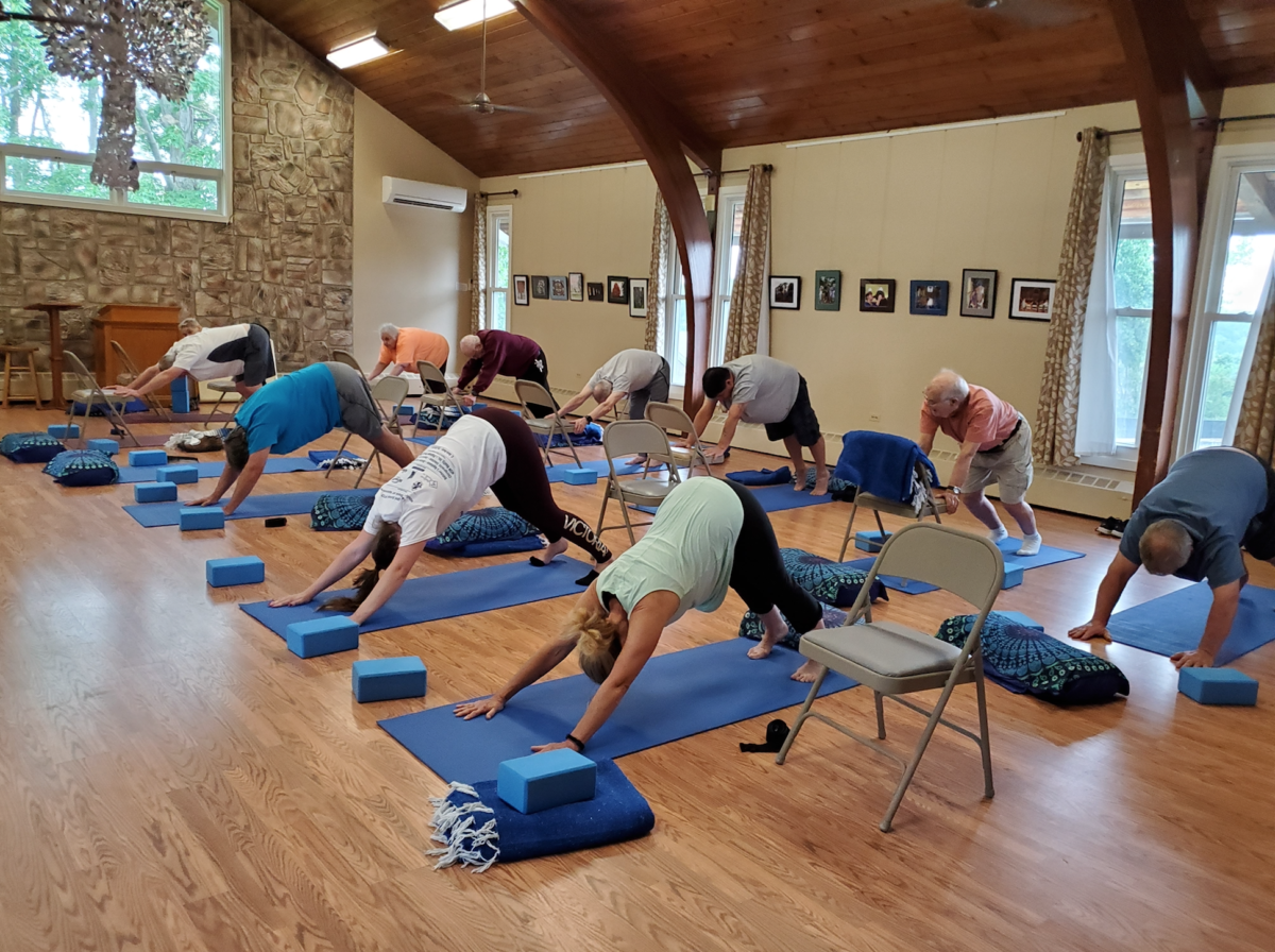Down Dog Open Spirit June 2019